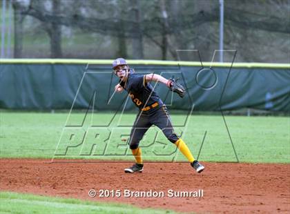 Thumbnail 2 in Billingsley @ Thorsby photogallery.