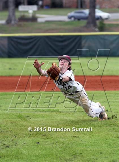 Thumbnail 1 in Billingsley @ Thorsby photogallery.
