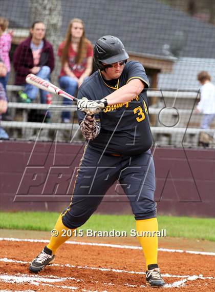 Thumbnail 1 in Billingsley @ Thorsby photogallery.