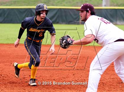 Thumbnail 1 in Billingsley @ Thorsby photogallery.