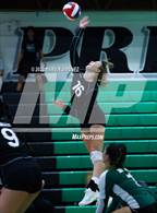 Photo from the gallery "Newbury Park @ Thousand Oaks"
