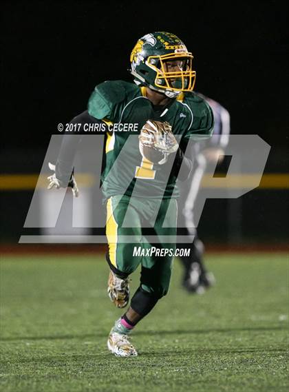 Thumbnail 2 in Red Jacket vs. Alexander (Section 5 Class D Semifinal) photogallery.
