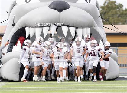 Thumbnail 3 in Shiner @ Iola (UIL 2A D2 Football Regional Semifinal) photogallery.