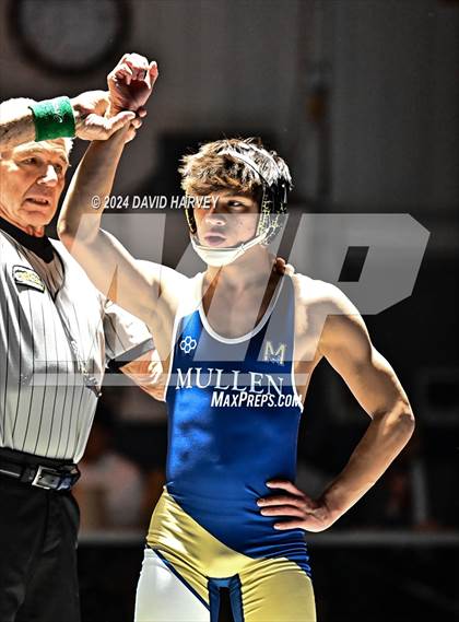 Thumbnail 1 in Conifer @ Mullen(JV) Dual photogallery.