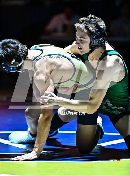 Thumbnail 1 in Conifer @ Mullen(JV) Dual photogallery.