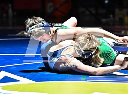 Thumbnail 3 in Conifer @ Mullen(JV) Dual photogallery.