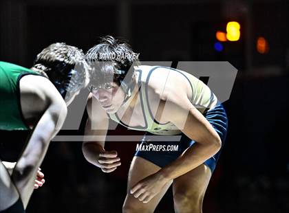 Thumbnail 3 in Conifer @ Mullen(JV) Dual photogallery.