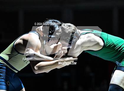 Thumbnail 2 in Conifer @ Mullen(JV) Dual photogallery.