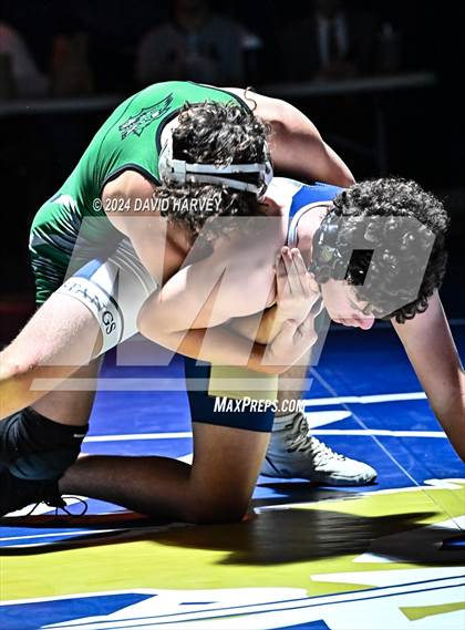 Thumbnail 1 in Conifer @ Mullen(JV) Dual photogallery.