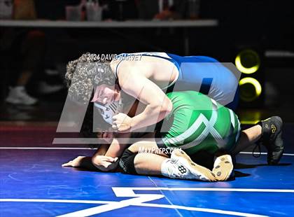 Thumbnail 1 in Conifer @ Mullen(JV) Dual photogallery.