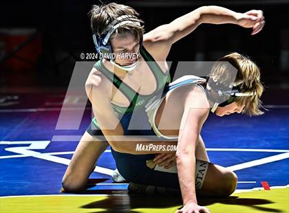 Thumbnail 2 in Conifer @ Mullen(JV) Dual photogallery.