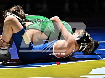 Thumbnail 2 in Conifer @ Mullen(JV) Dual photogallery.