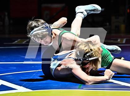 Thumbnail 2 in Conifer @ Mullen(JV) Dual photogallery.