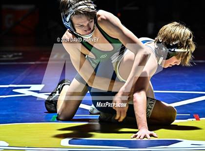 Thumbnail 3 in Conifer @ Mullen(JV) Dual photogallery.