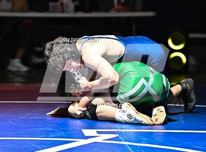 Thumbnail 3 in Conifer @ Mullen(JV) Dual photogallery.