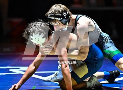 Thumbnail 3 in Conifer @ Mullen(JV) Dual photogallery.