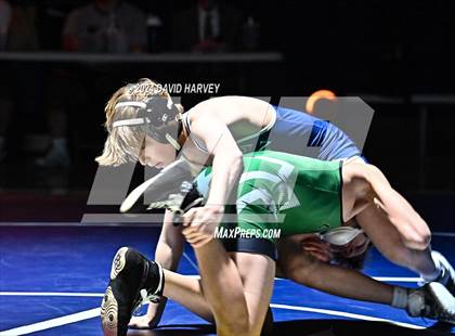 Thumbnail 1 in Conifer @ Mullen(JV) Dual photogallery.
