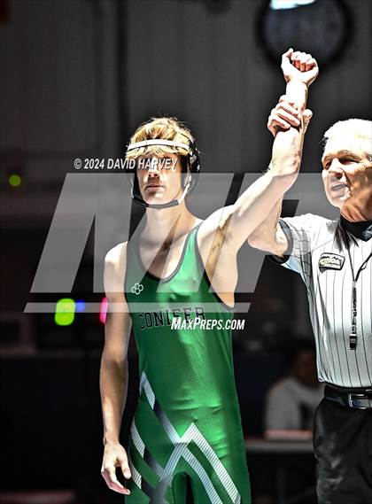 Thumbnail 2 in Conifer @ Mullen(JV) Dual photogallery.