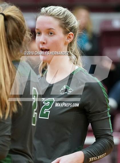 Thumbnail 1 in Cedar Park vs. College Station (UIL 5A Regional Quarterfinal) photogallery.
