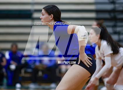 Thumbnail 2 in Bolles @ South Walton photogallery.