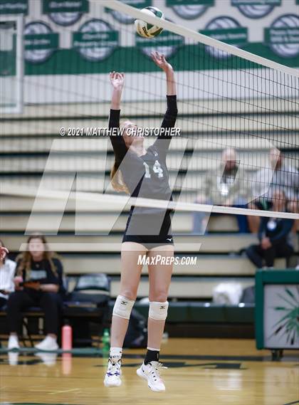 Thumbnail 3 in Bolles @ South Walton photogallery.