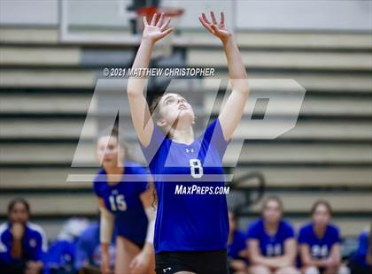 Thumbnail 3 in Bolles @ South Walton photogallery.