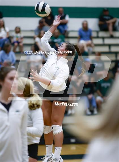 Thumbnail 2 in Bolles @ South Walton photogallery.