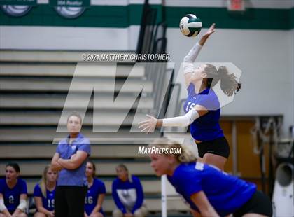 Thumbnail 2 in Bolles @ South Walton photogallery.