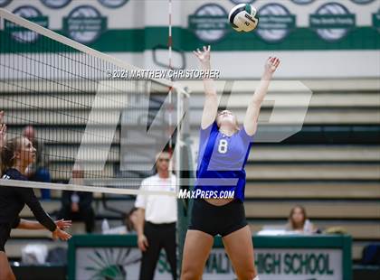 Thumbnail 2 in Bolles @ South Walton photogallery.