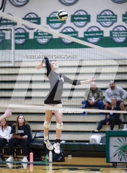 Thumbnail 3 in Bolles @ South Walton photogallery.