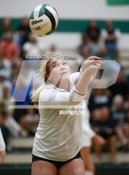 Thumbnail 3 in Bolles @ South Walton photogallery.