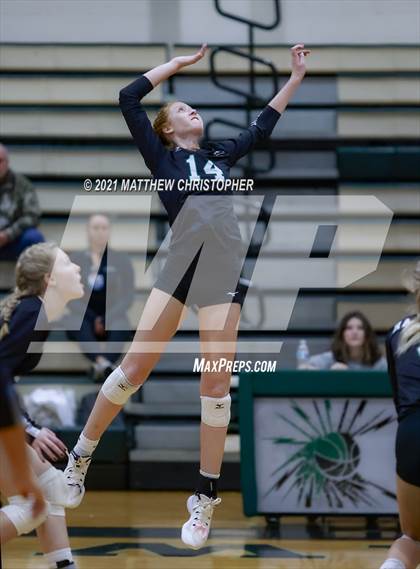 Thumbnail 3 in Bolles @ South Walton photogallery.