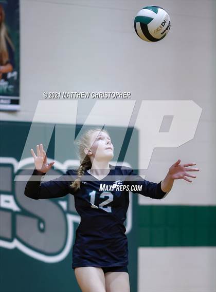 Thumbnail 3 in Bolles @ South Walton photogallery.