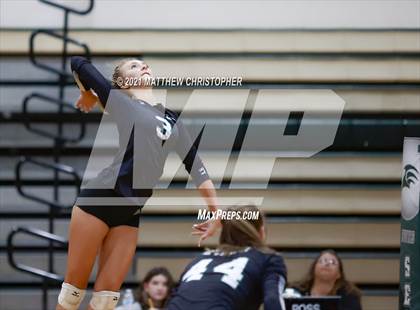 Thumbnail 1 in Bolles @ South Walton photogallery.