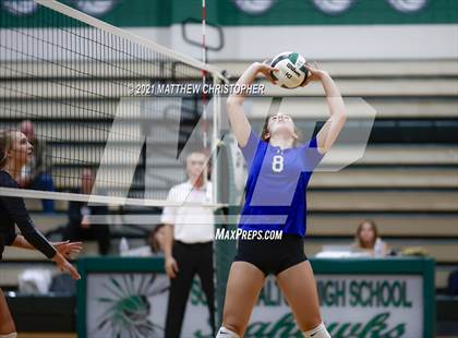 Thumbnail 1 in Bolles @ South Walton photogallery.