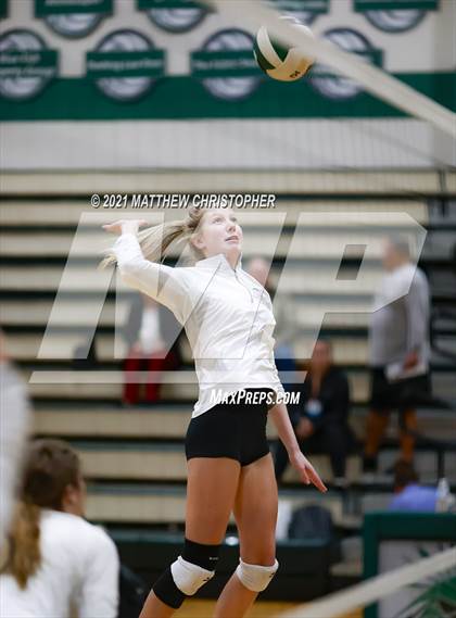 Thumbnail 1 in Bolles @ South Walton photogallery.