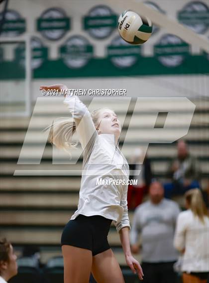 Thumbnail 3 in Bolles @ South Walton photogallery.