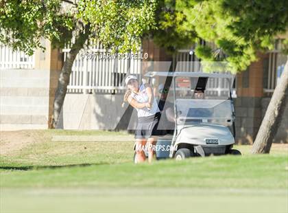 Thumbnail 2 in Desert Mountain, Gilbert @ Highland  photogallery.