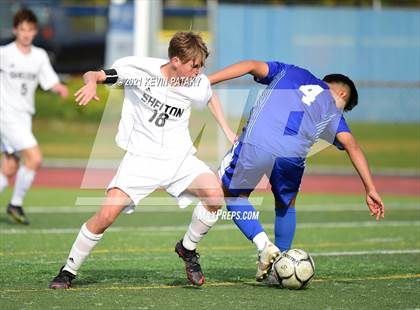 Thumbnail 3 in Shelton @ West Haven photogallery.