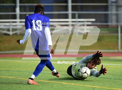 Thumbnail 3 in Shelton @ West Haven photogallery.