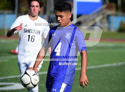 Thumbnail 2 in Shelton @ West Haven photogallery.