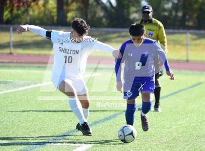 Thumbnail 3 in Shelton @ West Haven photogallery.