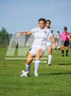Photo from the gallery "Alamogordo @ Silver"