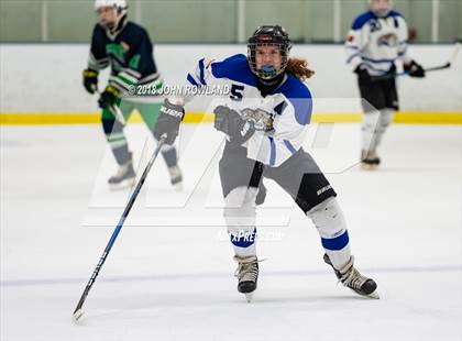 Thumbnail 2 in New Trier (White) vs Libertyville photogallery.