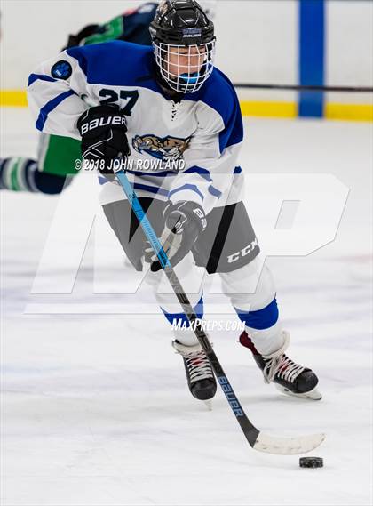 Thumbnail 1 in New Trier (White) vs Libertyville photogallery.
