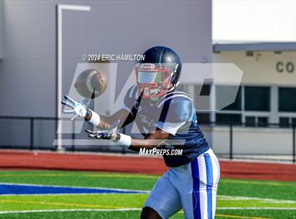Thumbnail 1 in Palos Verdes@Leuzinger photogallery.