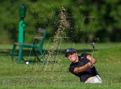 Thumbnail 1 in Elmira @ Corning photogallery.