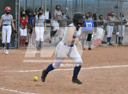 Thumbnail 2 in Santa Rosa @ McCurdy photogallery.