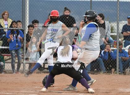 Thumbnail 3 in Santa Rosa @ McCurdy photogallery.