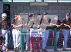 Photo from the gallery "Centennial vs. Sandia (NMAA 5A Semifinal)"